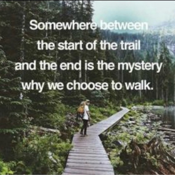 ⚜️ Littlest Pet Shop Tug & Play Beethoven's 2nd # 7371 - Picture 13 of 16